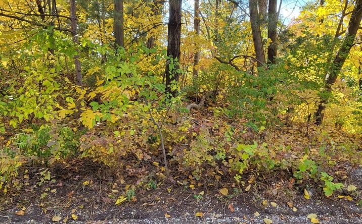 Pictures of Land property located at 3.5 Chestnut Court, Ogden Dunes, IN 46368 for sales - image #1
