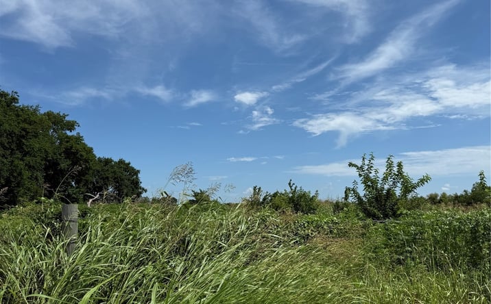 Pictures of Land property located at 17826 Magnolia Highway E, Durant, OK 74701 for sales - image #1