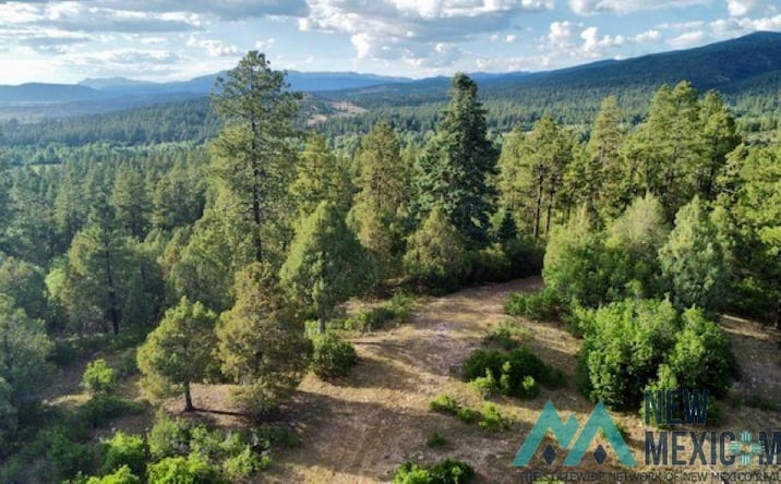 Pictures of Land property located at TBD Log Ridge Trail Trail, Chama, NM 87520 for sales - image #1