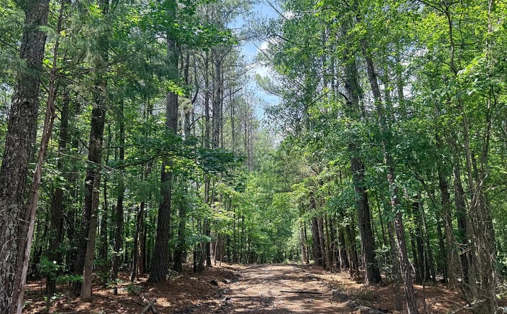 Pictures of Land property located at 1573 Norris Lake Way, Snellville, GA 30039 for sales - image #1