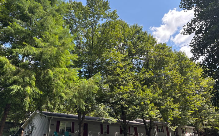 Pictures of Multifamily property located at 209 Cemetary Lane, Jonesborough, TN 37659 for sales - image #1
