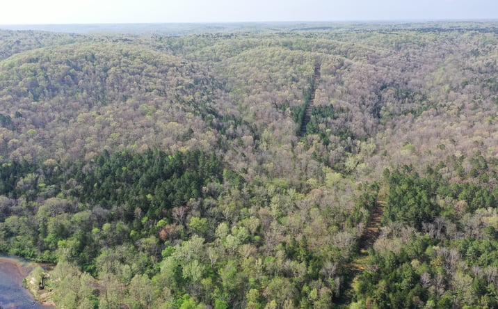 Pictures of Land property located at 23195 Highway B, Raymondville, MO 65555 for sales - image #1