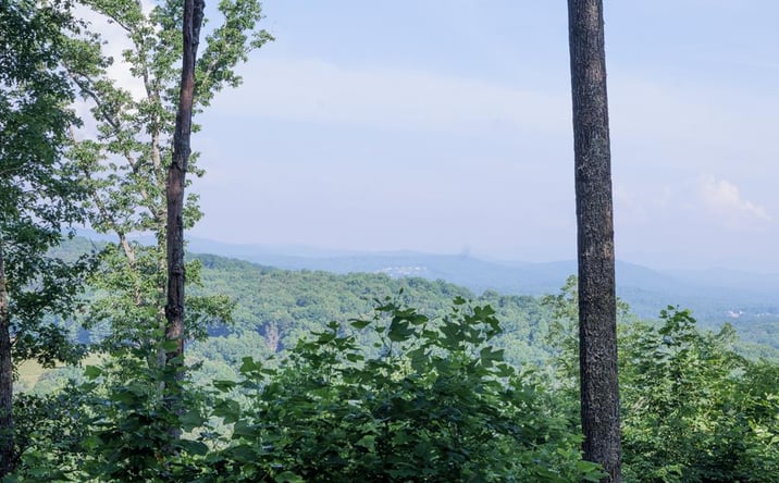 Pictures of Land property located at 90 Winding Ridge, Blairsville, GA 30512 for sales - image #1