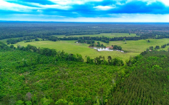 Pictures of Land property located at 1897 MCMAHANS CHAPEL RD SAN AUGUSTINE TX 75972-6406, SAN AUGUSTINE, TX 75972-6406 for sales - image #1