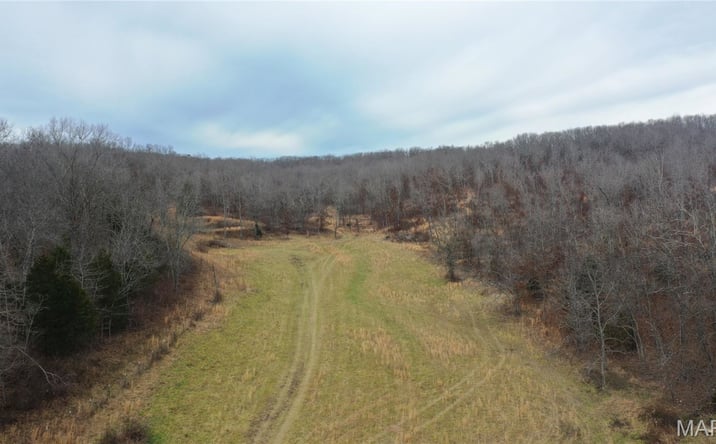 Pictures of Land property located at 0 Highway 32 East, Salem, MO 65560-9597 for sales - image #1