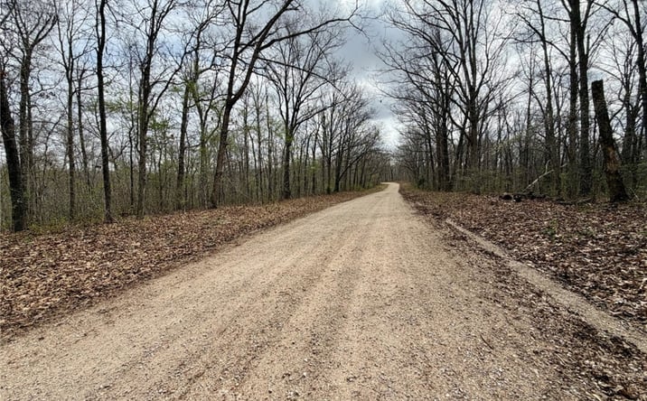 Pictures of Land property located at 0 TBD CR 4280, Salem, MO 65560 for sales - image #1