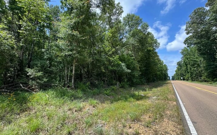 Pictures of Land property located at Berrwick Cassels Road/Highway 48, 69975, MS 39645 for sales - image #1