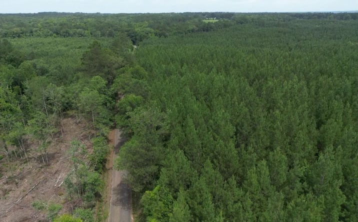 Pictures of Land property located at Summit Holmesville Road, 70125, MS 39648 for sales - image #1