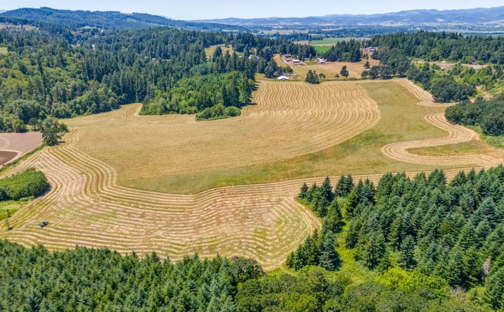 Pictures of Land property located at 0 lafayette Hwy, Dayton, OR 97114 for sales - image #1