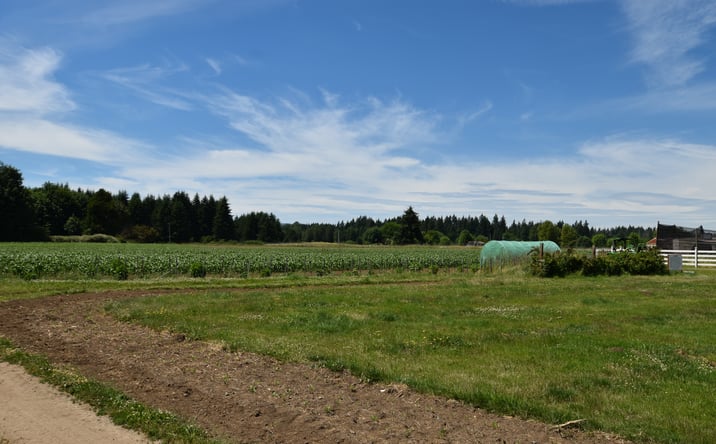 Pictures of Industrial property located at 302 93rd Avenue Southeast, Tumwater, WA 98501 for sales - image #1