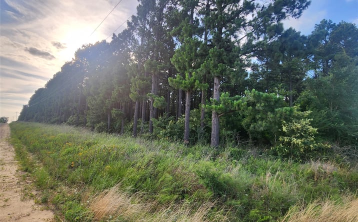 Pictures of Land property located at E 2040 Road, Hugo, OK 74743 for sales - image #1