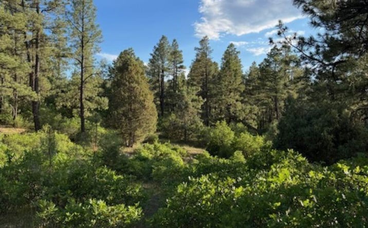 Pictures of Land property located at TBD Eagles 2a Road, Chama, NM 87520 for sales - image #1