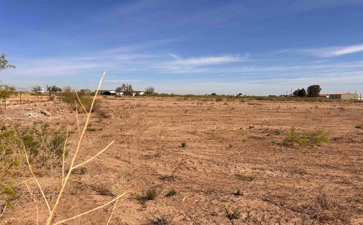 Pictures of Land property located at E of 356 Brantley Road, Carlsbad, NM 88220 for sales - image #1