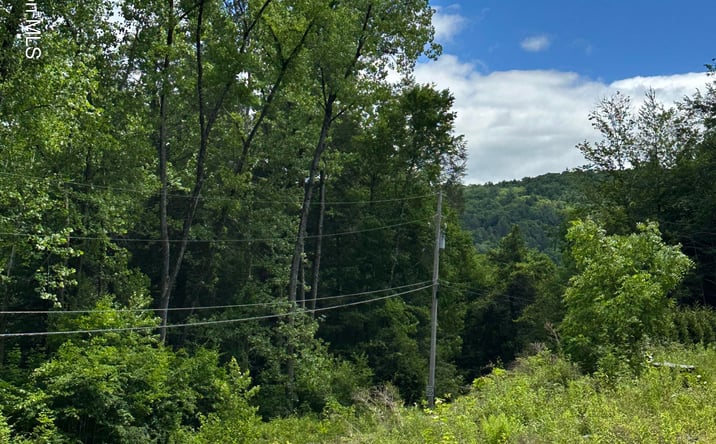 Pictures of Land property located at Stone Ledge Road, Hillsdale, NY 12529 for sales - image #1
