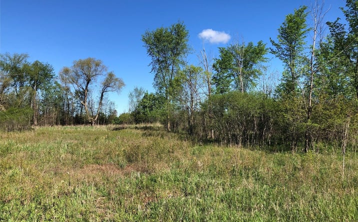 Pictures of Land, Industrial property located at Parcel D GRAHAM RD, Imlay City, MI 48444 for sales - image #1