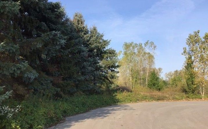 Pictures of Land property located at COUNTRY CORNER DR, Fowlerville, MI 48836 for sales - image #1