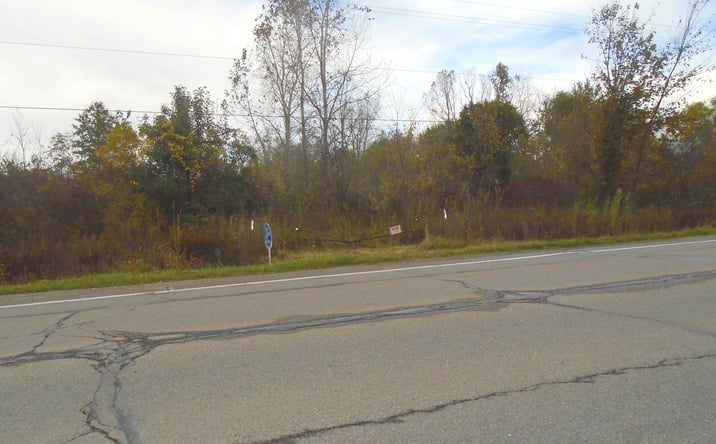 Pictures of Land, Mixed Use property located at Marine City Hwy HIWY, China, MI 48054 for sales - image #1