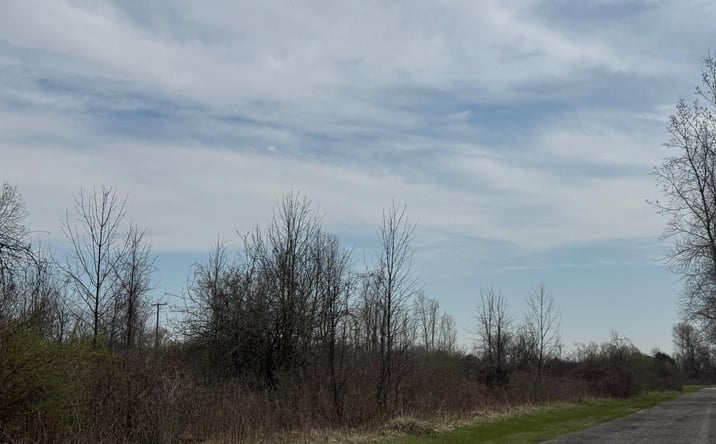 Pictures of Land property located at Metcalf RD, Clyde, MI 48049 for sales - image #1