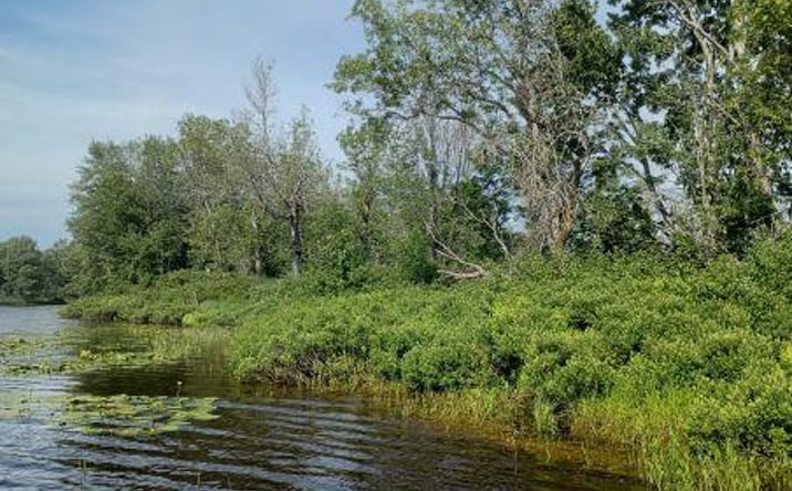 Pictures of Land property located at Tahquamenon River (shore), Mc Millan, MI 49868 for sales - image #1