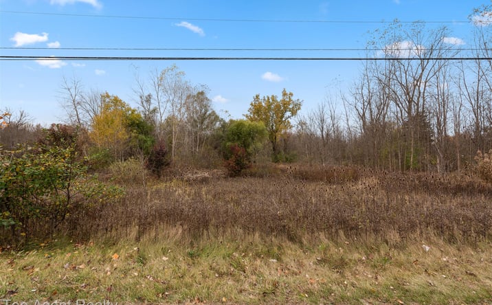 Pictures of Land property located at 433 Rochester Road, Leonard, MI 48367 for sales - image #1