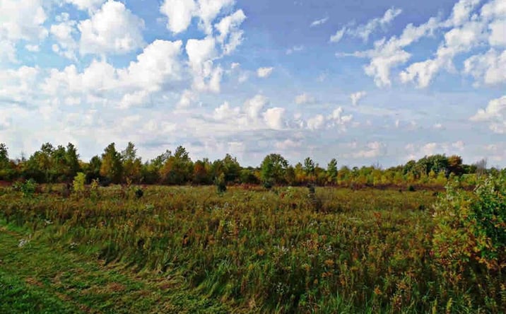 Pictures of Land property located at 9147 Corunna Road, Flint, MI 48532 for sales - image #1