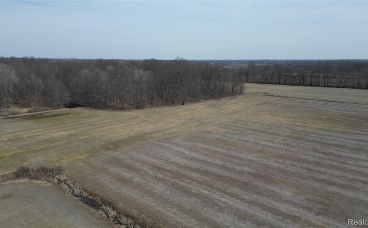 Pictures of Land property located at Lot #12 Kunstman Road, Ray, MI 48096 for sales - image #1