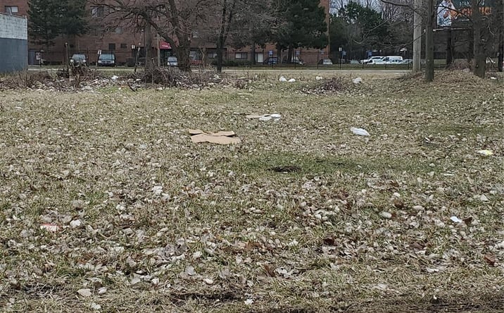 Pictures of Land property located at 2527 DUBOIS, Detroit, MI 48207 for sales - image #1