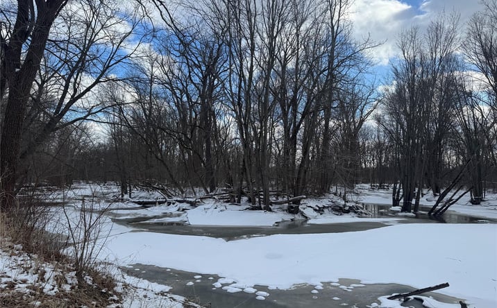 Pictures of Land property located at 1 Remer Road, China, MI 48054 for sales - image #1