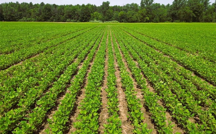 Pictures of Land property located at 9654 BIRCH RUN Road, Millington, MI 48746 for sales - image #1
