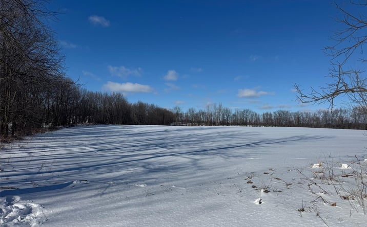 Pictures of Land property located at Parcel C Murphy Lake Road, Mayville, MI 48744 for sales - image #1