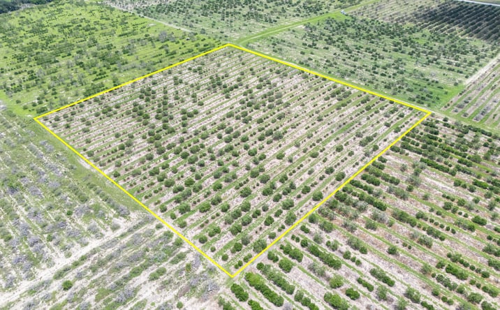 Pictures of Land property located at 3961 Byron Boulevard, Avon Park, FL 33825 for sales - image #1