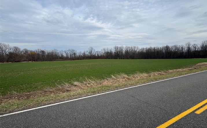 Pictures of Land property located at W dewey Street, Owosso, MI 48867 for sales - image #1