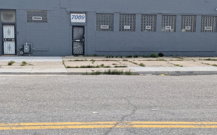 Pictures of Land property located at 7009 W Chicago, Detroit, MI 48204 for sales - image #1