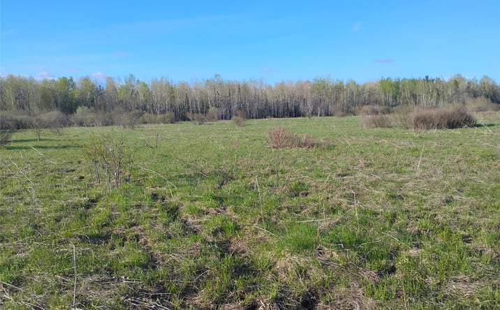 Pictures of Land property located at 19 Mile Road, Rudyard, MI 49780 for sales - image #1