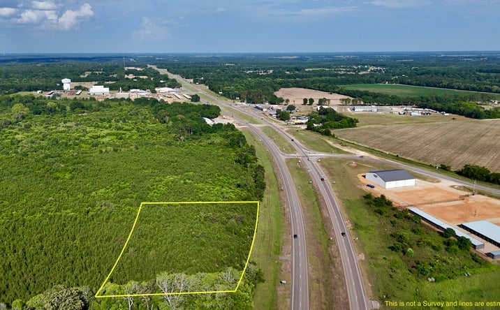 Pictures of Land property located at 1 Highway 84, Wicksburg, AL 36352 for sales - image #1