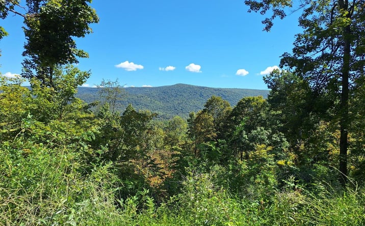 Pictures of Retail, Land property located at 0 Tiger Valley Road, Hyndman, PA 15545 for sales - image #1