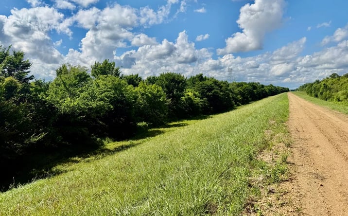 Pictures of Land property located at MS-315, 70869, MS 38670 for sales - image #1