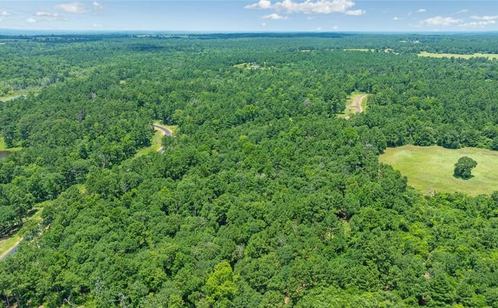 Pictures of Land property located at 000 PR 1314, Centerville, TX 75833 for sales - image #1