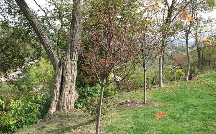 Pictures of Land property located at 2643 Fernwald Road, Pittsburgh, PA 15217 for sales - image #1