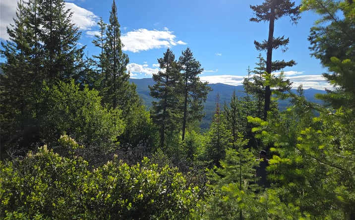 Pictures of Land property located at 11 Nine Mile Road, HUSON, MT 59846 for sales - image #1