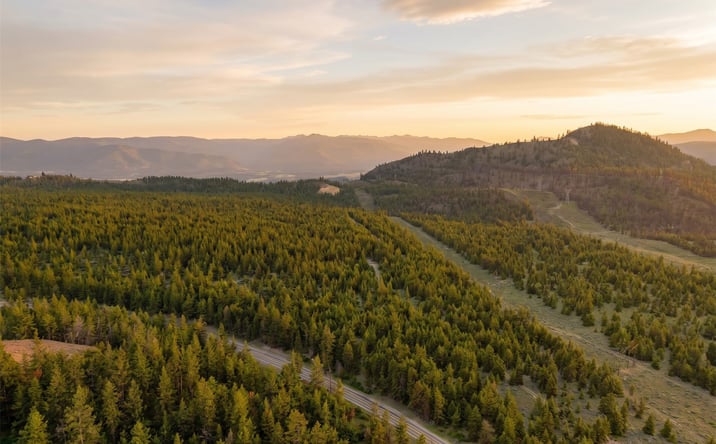 Pictures of Land property located at NHN Hwy 28, PLAINS, MT 59859 for sales - image #1