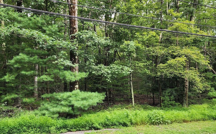 Pictures of Land property located at 128 Wilson Road, Sparrowbush, NY 12780 for sales - image #1