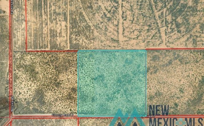 Pictures of Land property located at S: 3 T: 13s R: 26e Sw4se4, Dexter, NM 88230 for sales - image #1