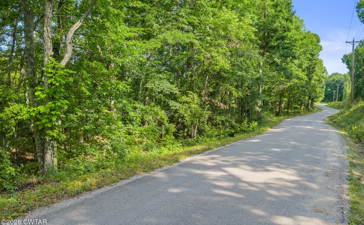 Pictures of Land property located at Coxburg Rd N Tract 7, Holladay, TN 38341 for sales - image #1