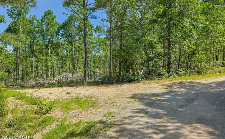 Pictures of Land property located at Green Hatley Branch Rd Tract 11, Holladay, TN 38341 for sales - image #1