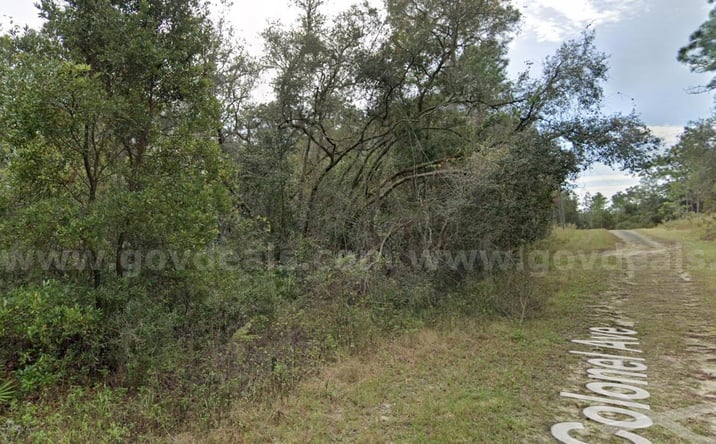 Pictures of Land property located at 0 COLONEL AVE, WEBSTER, FL 33597 for sales - image #1