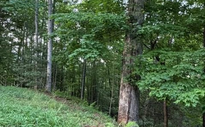 Pictures of Land property located at Lot 59 Quiet Mountain Trail, Murphy, NC 28906 for sales - image #1