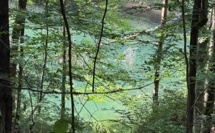 Pictures of Land property located at Lot 37 Quiet Waters, Murphy, NC 28906 for sales - image #1