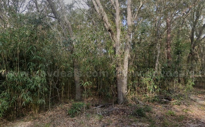 Pictures of Land property located at Michigan Road, Altoona, FL 32702 for sales - image #1