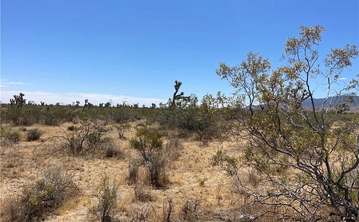 Pictures of Land, Special Purpose property located at 213th, Llano, CA 93544 for sales - image #1